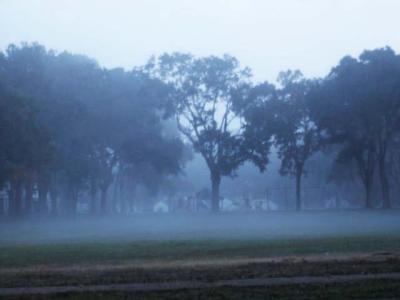 Early Morning Fog / 8 November 05