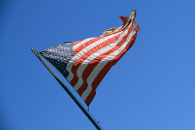 IMG_2667.jpg