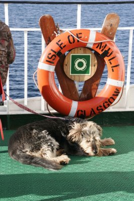 Mull ferry
