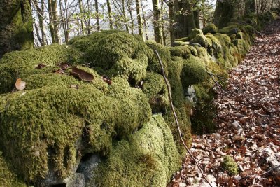 Strathyre