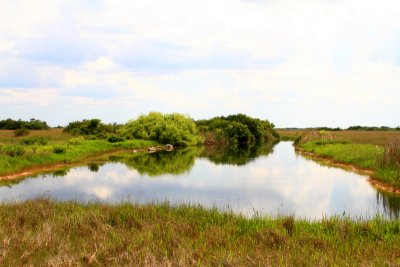 Everglades National Park, Shark Valley, Florida