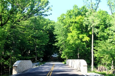 Busse Woods National Natural Landmark, Forest Department of Cook County, Schaumburg, IL