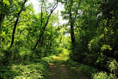 Big Foot Beach State Park, WI