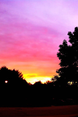 Sunset at Wellington Park, Palatine, IL