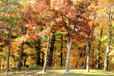 Fall Colors, Mirror Lake State Park, Wisconsin