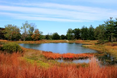 Morton Arboretum - Meadow Lake