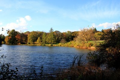 Morton Arboretum - Marmo Lake