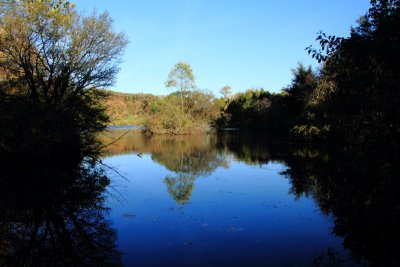 Morton Arboretum - Marmo Lake