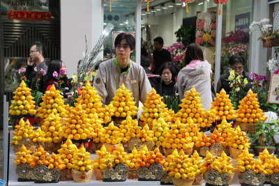 Fruit Seller, Flower Market, Mong Kok, Hong Kong