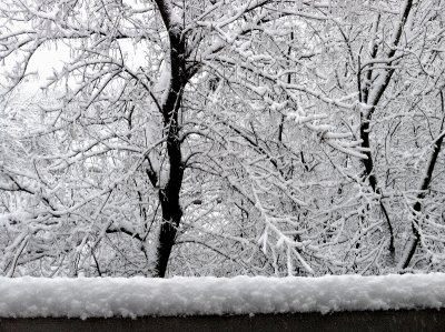 Winter 2012 - Palatine, IL