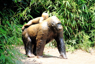 Cincinnati Zoo