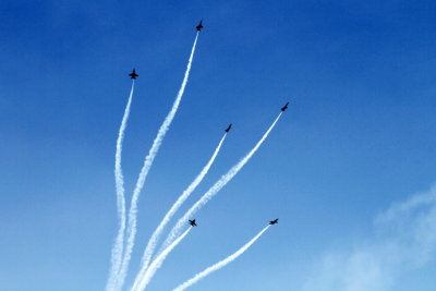 Chicago Air and Water Show 2012 - US Navy Blue Angels