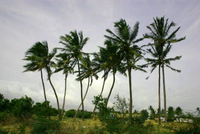 Blowing in the wind, Dharapuram, Tamil Nadu