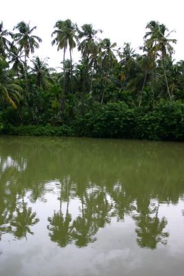 Backwaters of Kerala, Melarkode