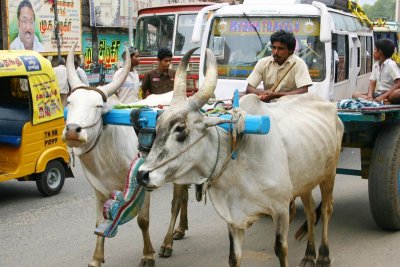 Madurai within the city