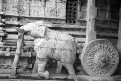 Chariot being pulled by the elephant, Sculpture, Sarangapani Temple, Kumbakonam, India