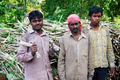 Sugarcane workers, Umayalpuram,Tamil Nadu