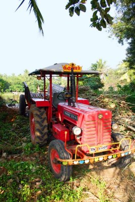 Tractor to take the sugarcane, Umayalpuram,Tamil Nadu
