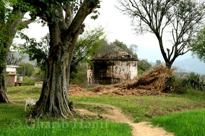 Temple