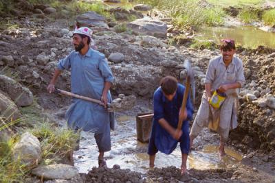 Workers in Sehrmandi