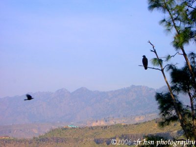 Eagles view along Kotli road