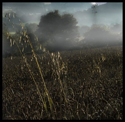 Windmill and misty morning01 72.jpg