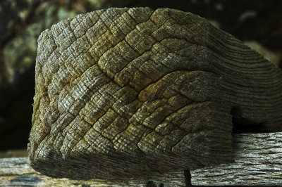 Texture on post 72.jpg