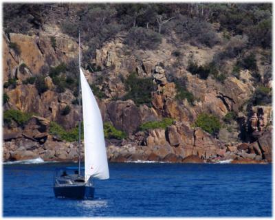 Sailing on Port Stephens