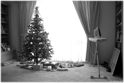 Christmas Domesticity