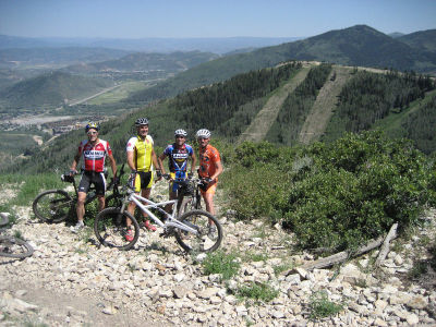 81509904-L.jpg