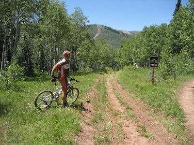81542888-L.jpg