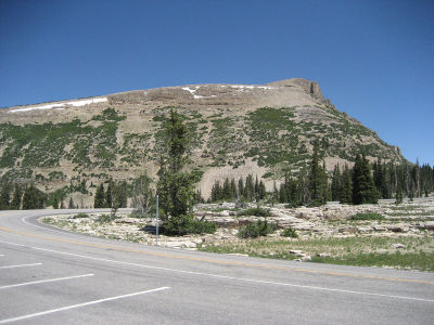 81695559-L.jpg