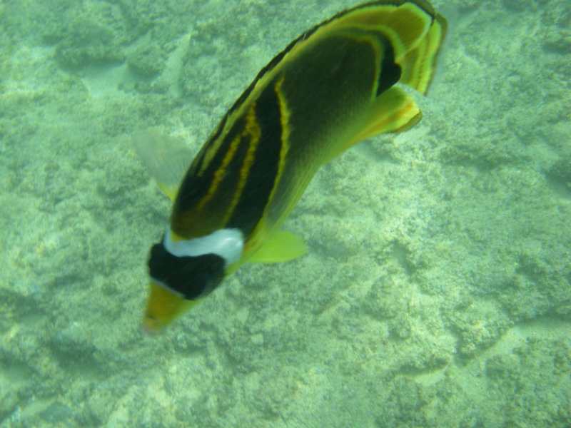 k5.jpg
