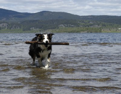 Fraser Lake, BC