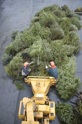 Tree chippers