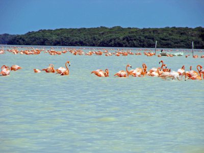 351-A.jpg