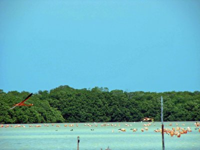 391-A.jpg