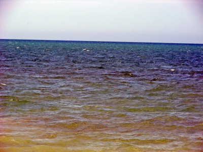 464-A.jpg