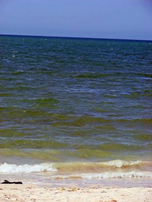 465-A.jpg