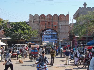 DSC02009-P14.jpg