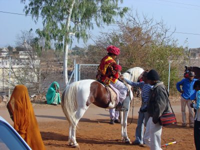 DSC02324-C127.jpg