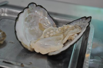 DSC_4910.JPG