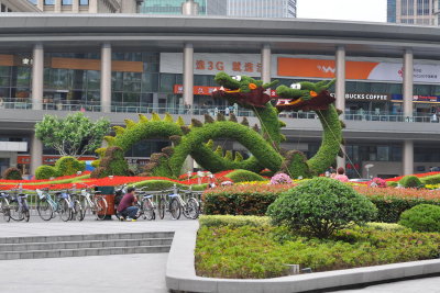 DSC_5045.JPG