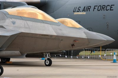 UASF F-22 Raptor