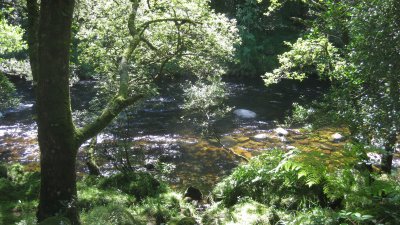 River Dart