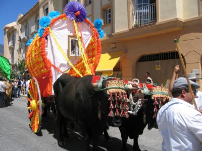 IMG_0554.JPG