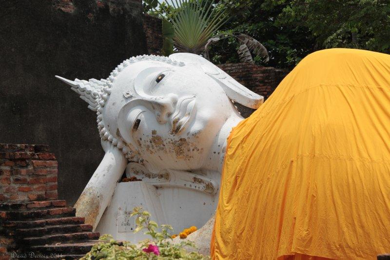 Ayutthaya #14