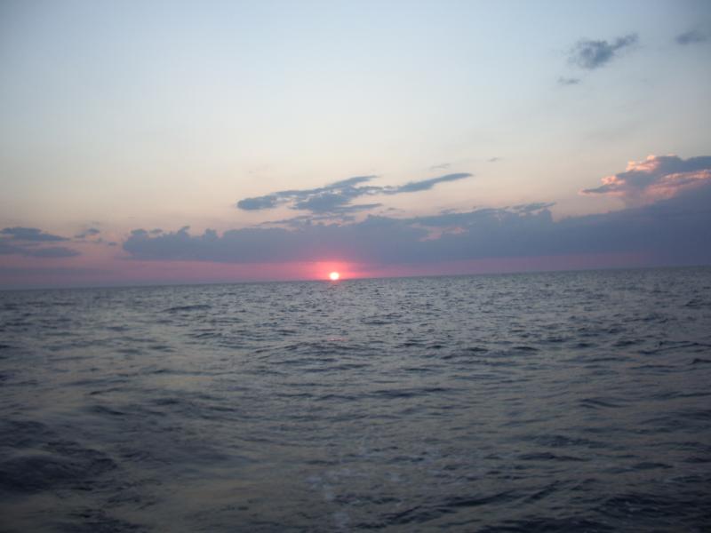 Corsica 2#