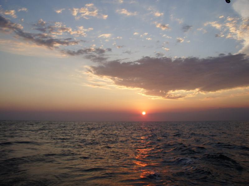 Corsica 5#