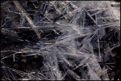 Drying roadside ice in Ottenby